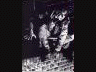Tim Bradstreet Official Site