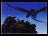 Dragons...Wyrms from Hell