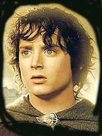 Frodo Baggins, Ring-Bearer