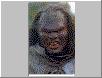 Lurtz battles